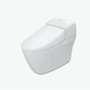 Bồn Cầu INAX AC-1032VN 1 Khối