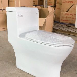 Bồn Cầu Viglacera V45