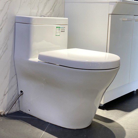 Hình ảnh thực tế của sản phẩm bồn cầu TOTO 1 khối CW166RB#XW/ TC384CVK#W /T53P100VR 1 khối nắp đóng êm TC384CVK#W