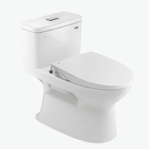 Bồn cầu rửa cơ INAX AC-969A/CW-S15VN