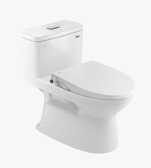 Bồn cầu rửa cơ INAX AC-969A/CW-S15VN