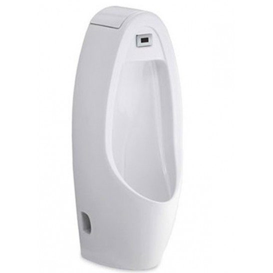 Bồn Tiểu Cảm Ứng