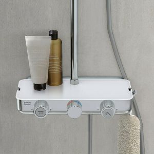 Vòi Sen Cây AMERICAN WF-4955 Nhiệt Độ Nóng Lạnh