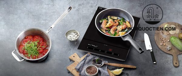 bếp từ đơn EUROSUN EU-T199