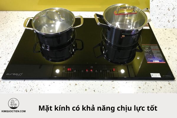 bếp từ eurosun eu t256 max