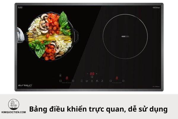 bếp từ eurosun eu t256 max