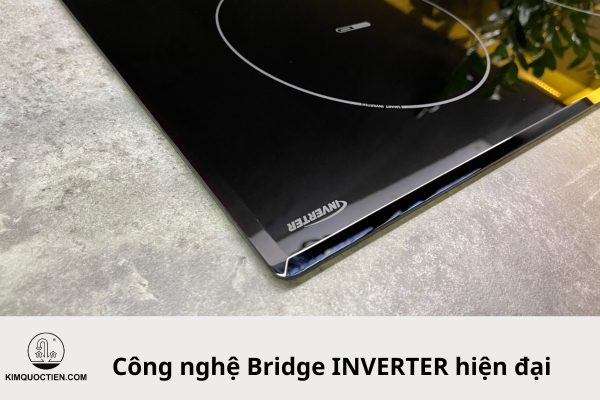 bếp từ eurosun eu t256 max