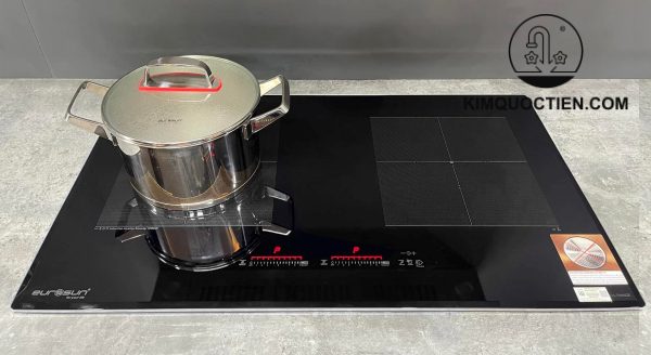 bếp từ EUROSUN EU-T888GE (G/S) 2 Vùng Nấu