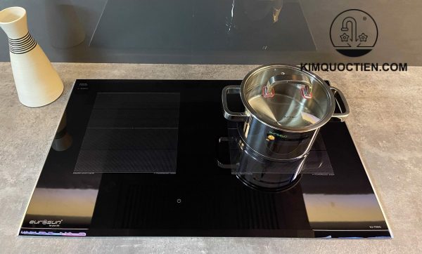 bếp từ Eurosun EU-T896G 2 vùng nấu