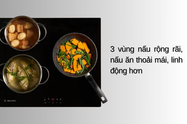 Bếp từ MH-5903 IN