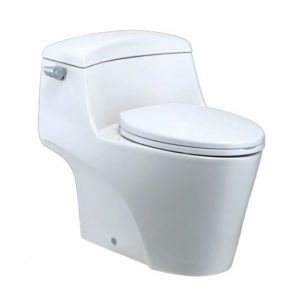 Bồn cầu 1 khối Caesar