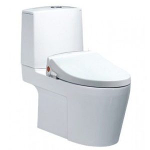 Bồn cầu rửa cơ Caesar CD1345/TAF050