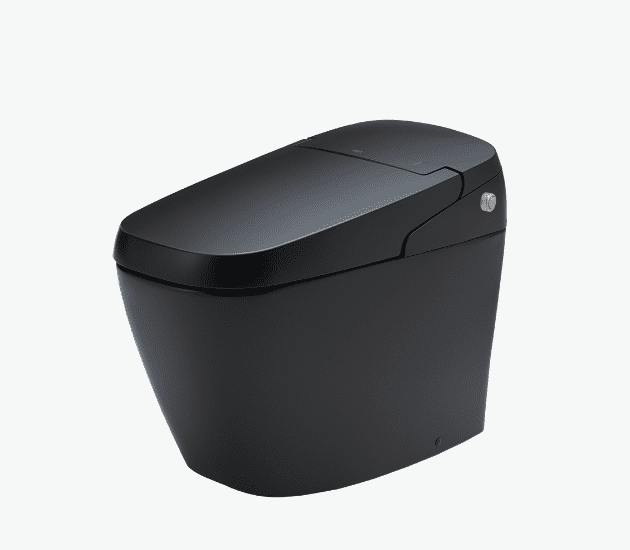 Bồn cầu điện tử INAX-AC-G216VN/BKG