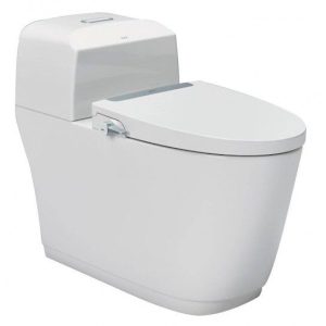 Bồn Cầu INAX AC-1032/CW-S32VN 1 Khối Nắp Rửa Cơ