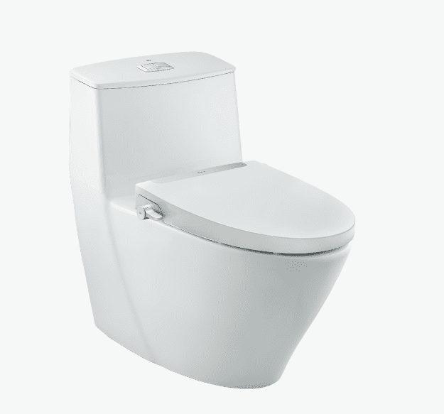 Bồn cầu rửa cơ INAX AC-919R/CW-S32VN