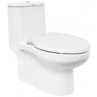 Bồn Cầu Rửa Cơ American Standard