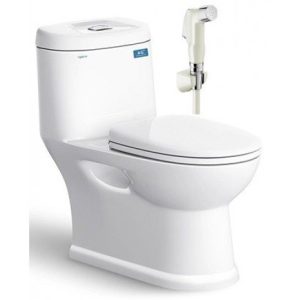 Bồn Cầu VIGLACERA C109 1 Khối Nắp Êm