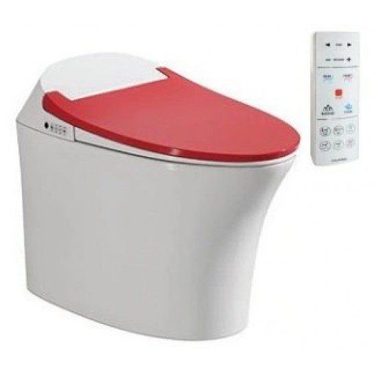 Bồn Cầu Thông Minh Viglacera V93.RW