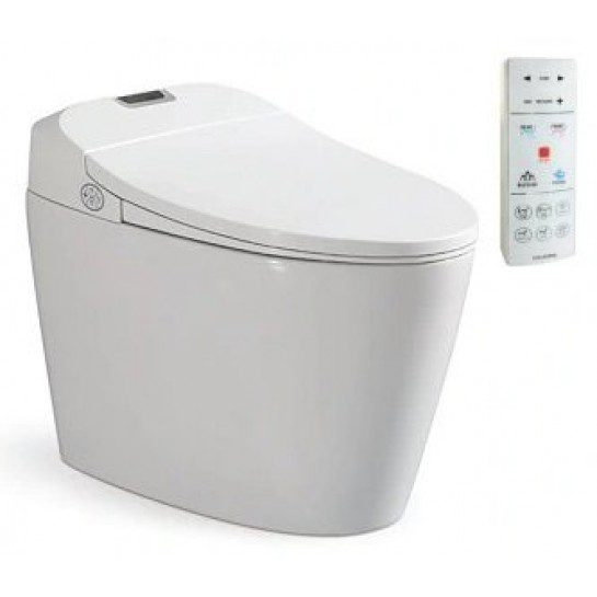 Bồn Cầu Thông Minh Viglacera V94