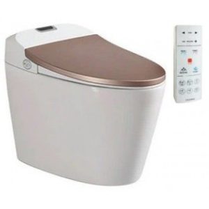 Bồn Cầu Thông Minh VIGLACERA V94.GW