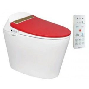 Bồn Cầu Thông Minh VIGLACERA V94.RW