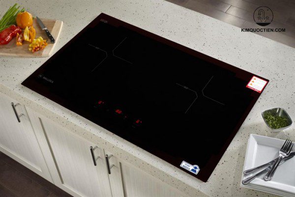 Bếp kính âm 2 từ MALLOCA MH-02I N