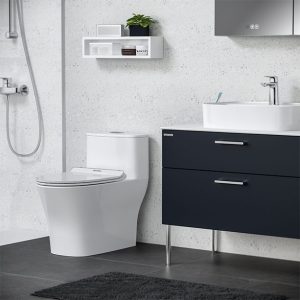Chậu Rửa Lavabo AMERICAN WP-0618 Đặt Bàn