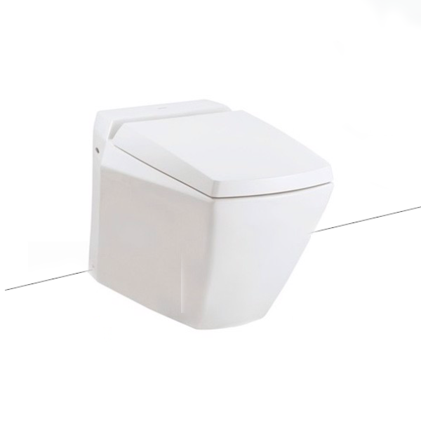 Bồn Cầu TOTO CW681#XW/TCP06/T53P100VR/TC375CVK#W Treo Tường