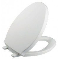 Nắp Bồn Cầu Thông Minh American Standard