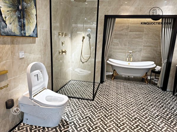 Các loại bồn cầu vệ sinh thông dụng