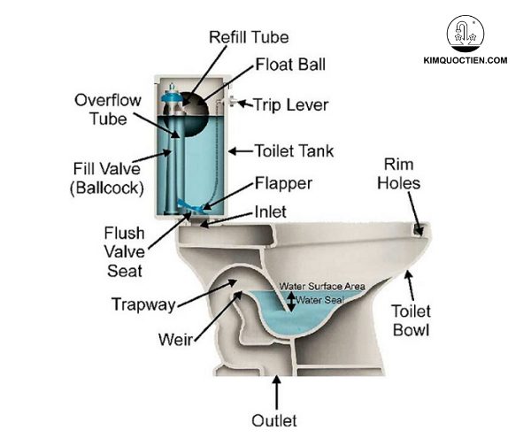Cấu tạo bồn cầu vệ sinh