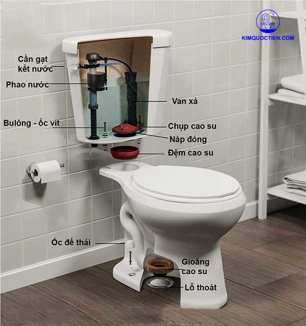 Cấu tạo bồn cầu TOTO 2 khối