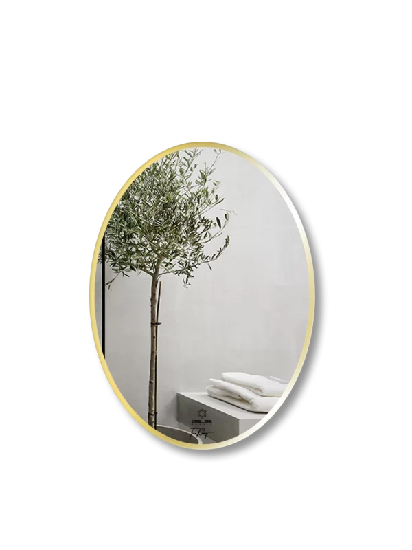 Gương GLS F11E30 Ellipes Viền Nhôm Đen Dòng F 50x70cm