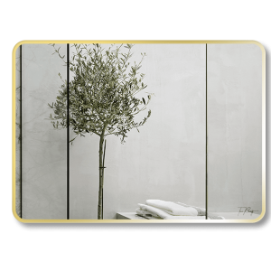 Gương GLS F11R60 Chữ Nhật Viền Nhôm Đen Dòng F Ngang 80x60cm