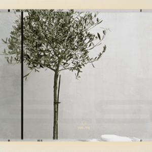 Gương Led GLS M35R61 Chữ Nhật Dòng M 80x60cm