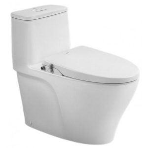 Bồn Cầu INAX AC-989/CW-S15VN Nắp Rửa Cơ