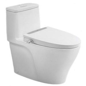 Bồn Cầu INAX AC-989/CW-S32VN Nắp Rửa Cơ