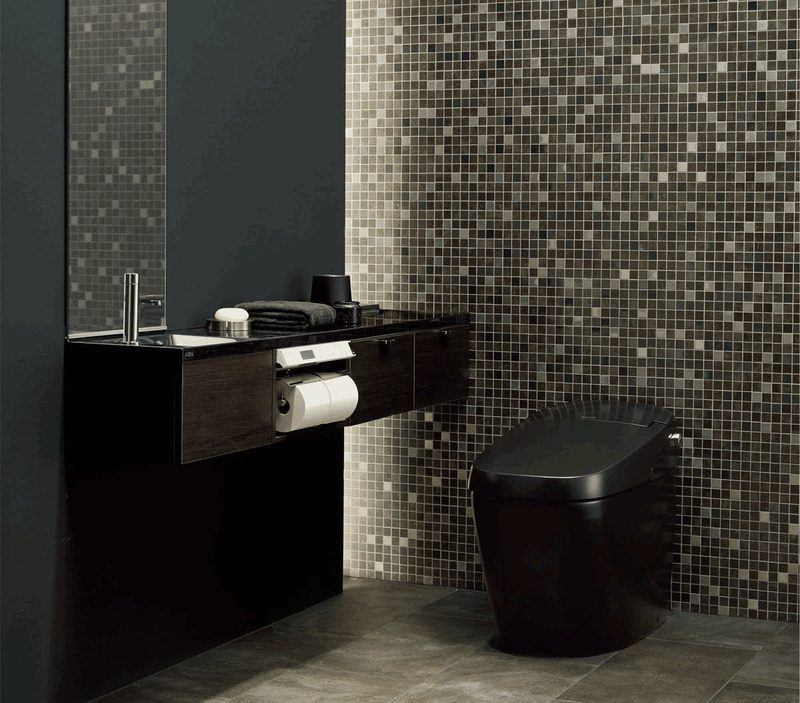 Bồn cầu màu đen