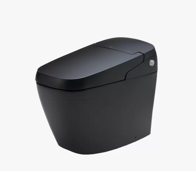 Bồn cầu màu đen