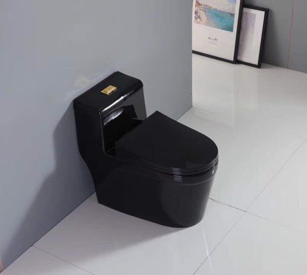 Cách thay bồn cầu cũ