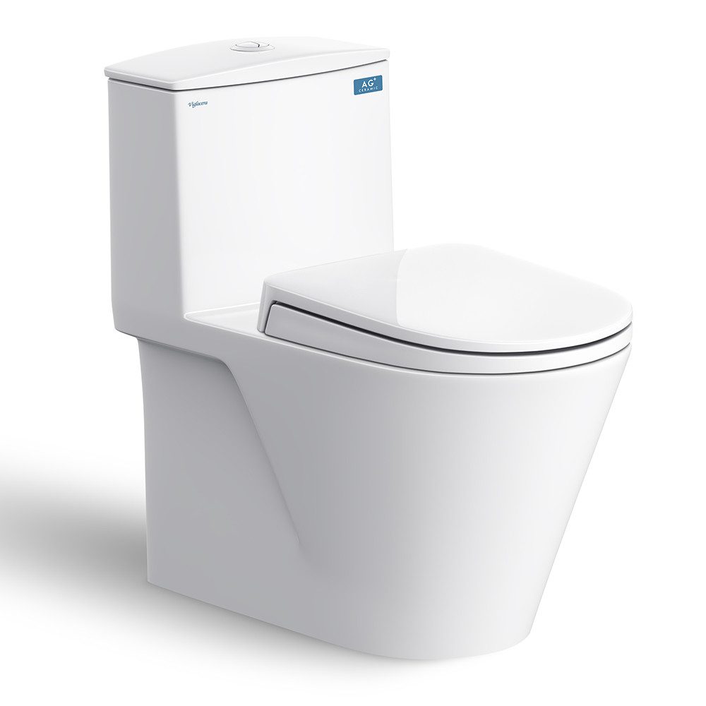 Mẫu bồn cầu đẹp