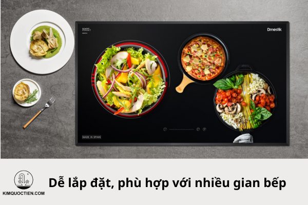 bếp điện từ dmestik na773 it