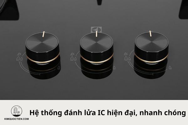 bếp gas âm electrolux ehg8321bc