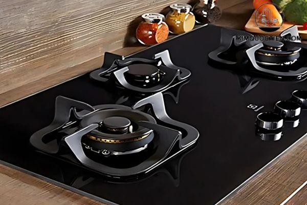 bếp gas electrolux