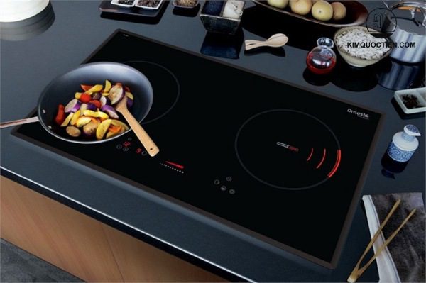 Thiết kế nổi bật của bếp từ Dmestik ES721 DKI