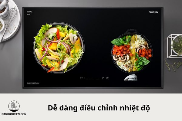 bếp từ dmestik na772 ib