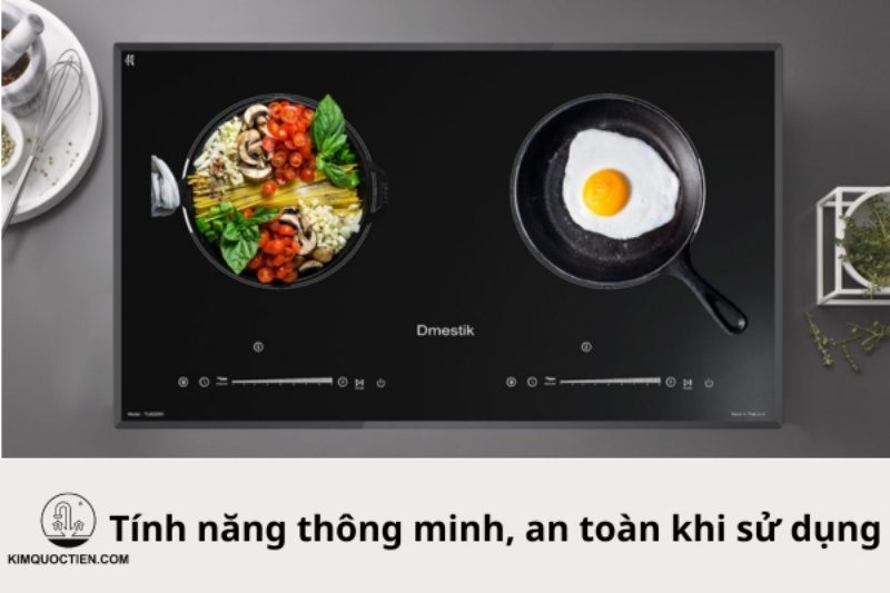 bếp từ dmestik tl922dki