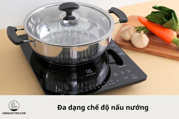 bếp từ electrolux etd42ska
