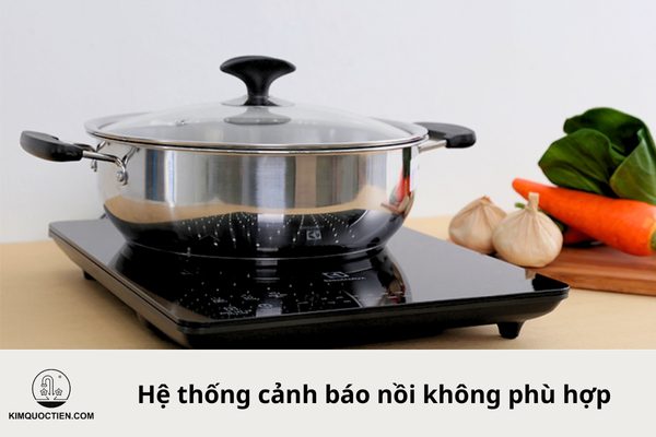 bếp từ electrolux etd42ska