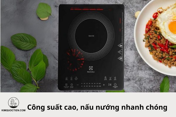 bếp từ electrolux etd42skr